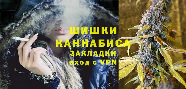 молекула духа Осинники