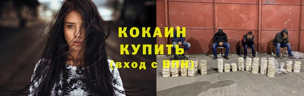 крисы Осташков