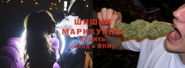 молекула духа Осинники