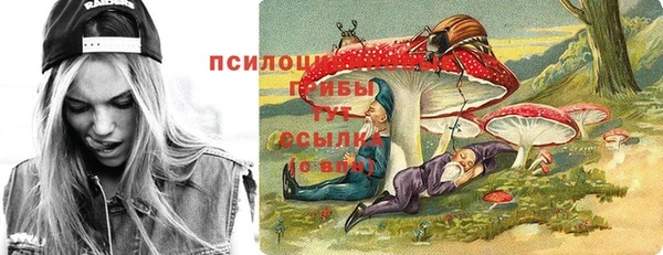 молекула духа Осинники