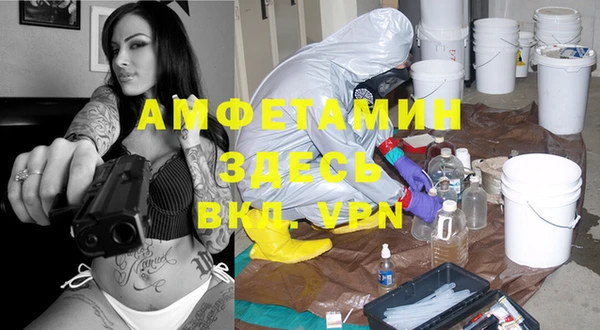 молекула духа Осинники