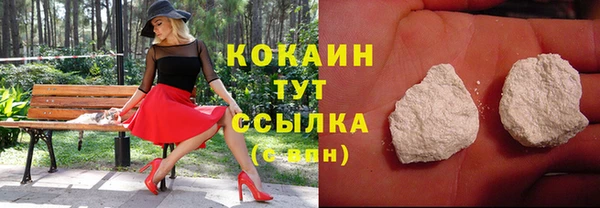 молекула духа Осинники
