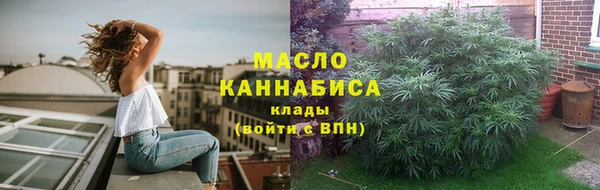 молекула духа Осинники