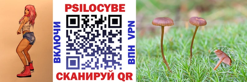Галлюциногенные грибы Magic Shrooms Сердобск